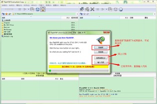 FTP服务器软件下载与配置指南 搭建高效文件传输服务