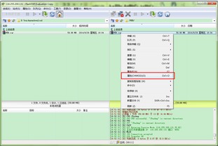 FTP服务器软件下载与配置 软件开发者的指南